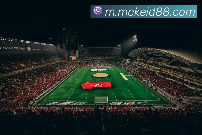 奖项图2